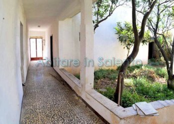 Giardino - Casa indipendente via Daniele Manin, Alessano - foto 15