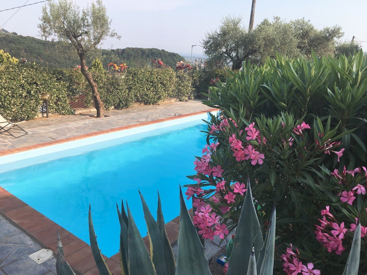 IMG_6536MOD.jpg - Semi-detached house Fosdinovo - photo 1