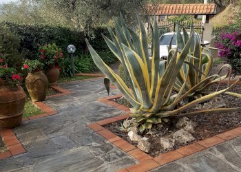 20221028_101932MOD.jpg - Casa semi indipendente Fosdinovo - foto 5