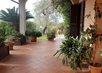 20221028_103215MOD.jpg - Casa semi indipendente Fosdinovo - foto 7