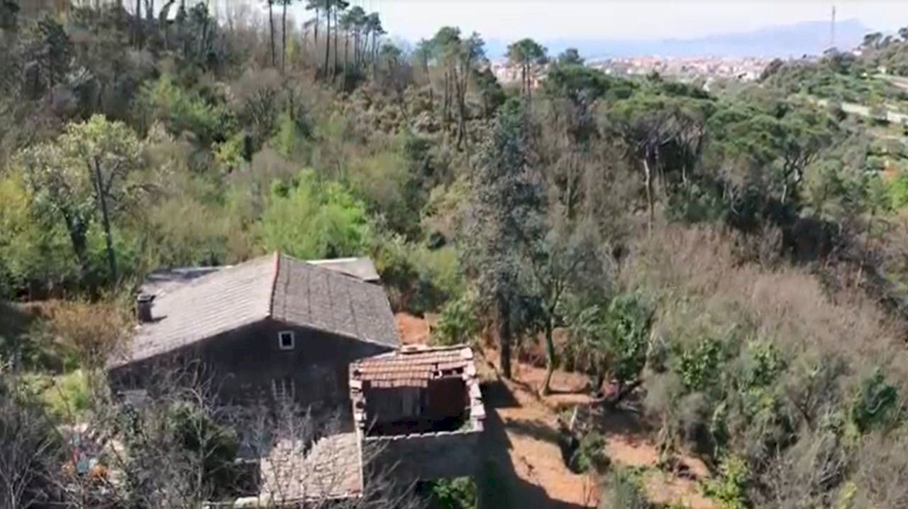 Immagine1.jpg - Rustico Via dei Cogorno 110, Cogorno - foto 1