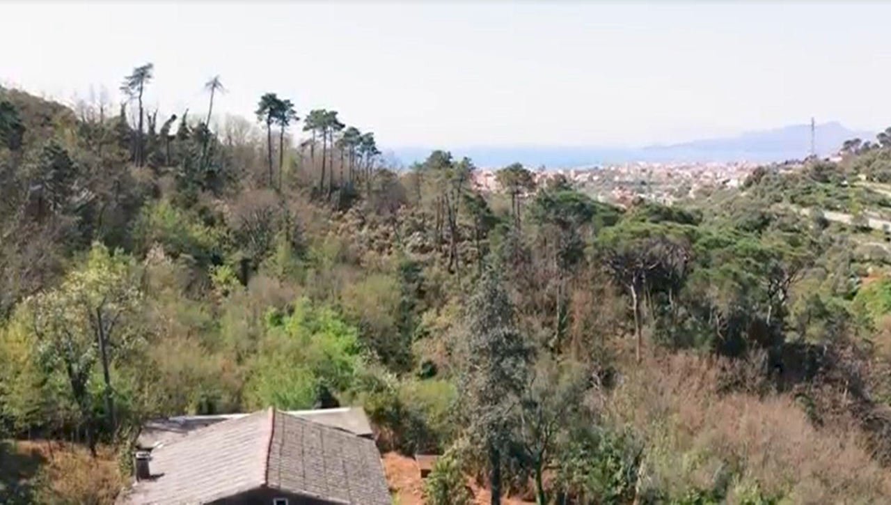 Immagine2.jpg - Rustico Via dei Cogorno 110, Cogorno - foto 2