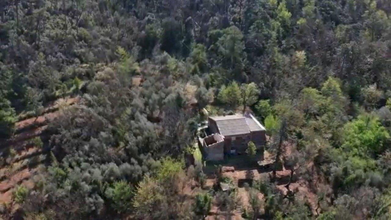 Immagine3.jpg - Rustico Via dei Cogorno 110, Cogorno - foto 3