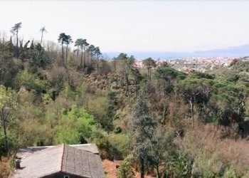 Immagine2.jpg - Rustico Via dei Cogorno 110, Cogorno - foto 2