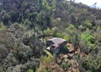 Immagine4.jpg - Rustico Via dei Cogorno 110, Cogorno - foto 4