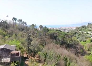 Immagine6.jpg - Rustico Via dei Cogorno 110, Cogorno - foto 6