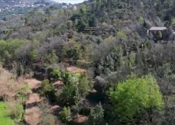 Immagine8.jpg - Rustico Via dei Cogorno 110, Cogorno - foto 8