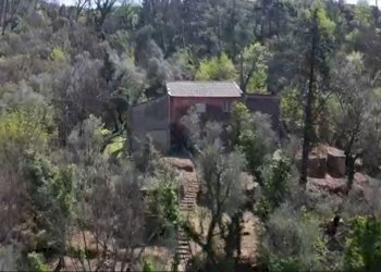 Immagine9.jpg - Rustico Via dei Cogorno 110, Cogorno - foto 9