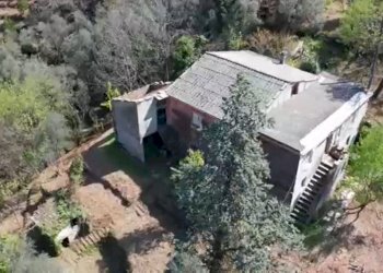 Immagine11.jpg - Rustico Via dei Cogorno 110, Cogorno - foto 11