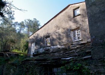 IMGP0572.jpg - Rustico Via dei Cogorno 110, Cogorno - foto 16