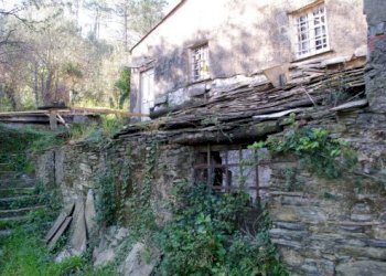 IMGP0573.jpg - Rustico Via dei Cogorno 110, Cogorno - foto 17