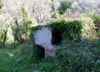 IMGP0576.jpg - Rustico Via dei Cogorno 110, Cogorno - foto 19