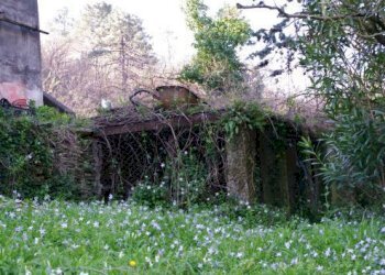 IMGP0579.jpg - Rustico Via dei Cogorno 110, Cogorno - foto 20