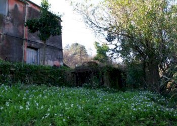 IMGP0580.jpg - Rustico Via dei Cogorno 110, Cogorno - foto 21