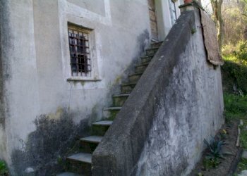 IMGP0582.jpg - Rustico Via dei Cogorno 110, Cogorno - foto 22