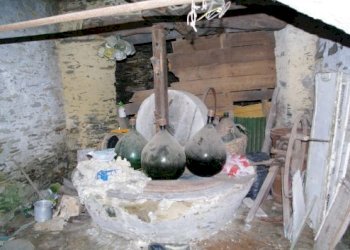 IMGP0588.jpg - Rustico Via dei Cogorno 110, Cogorno - foto 26