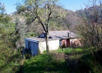 IMGP0595.jpg - Rustico Via dei Cogorno 110, Cogorno - foto 28