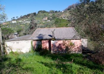 IMGP0597.jpg - Rustico Via dei Cogorno 110, Cogorno - foto 29