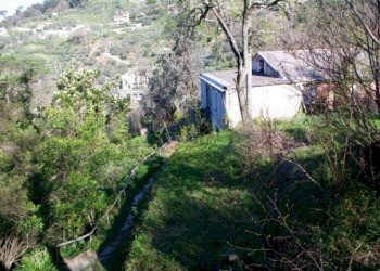 IMGP0598.jpg - Rustico Via dei Cogorno 110, Cogorno - foto 30