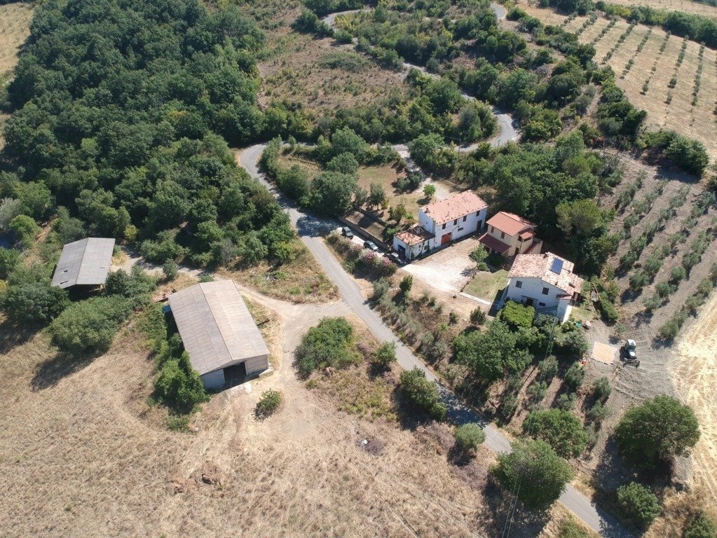 Agriturismo Grosseto - foto 2