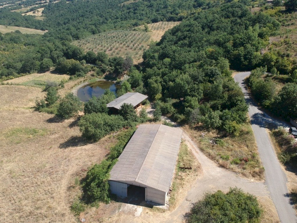 Agriturismo Grosseto - foto 3