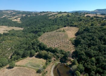 Agriturismo Grosseto - photo 4