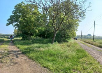 Cascina Momo - foto 3