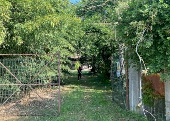 Cascina Momo - foto 4