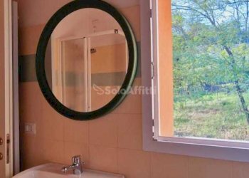 Bagno - Casa indipendente Strada San Colombano - Dogheria s.n.c., Meldola - foto 12