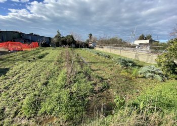 446876.jpg - Terreno edificabile Pietrasanta - foto 2