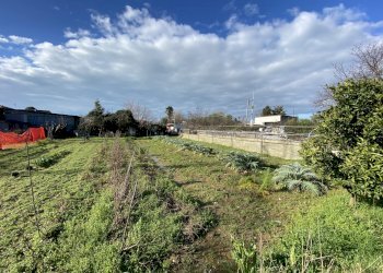 446875.jpg - Terreno edificabile Pietrasanta - foto 3