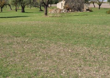 Rustic CONTRADA  BIMMISCA, Ispica - photo 1