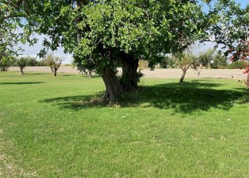 Rustic CONTRADA  BIMMISCA, Ispica - photo 7