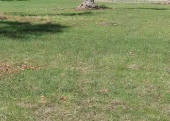 Rustic CONTRADA  BIMMISCA, Ispica - photo 8