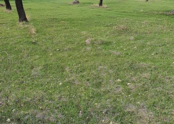 Rustic CONTRADA  BIMMISCA, Ispica - photo 10