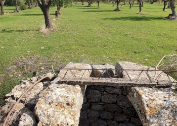 Rustic CONTRADA  BIMMISCA, Ispica - photo 14