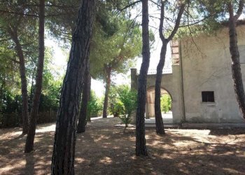 tortoreto (12).jpeg - Independent house Tortoreto - photo 28