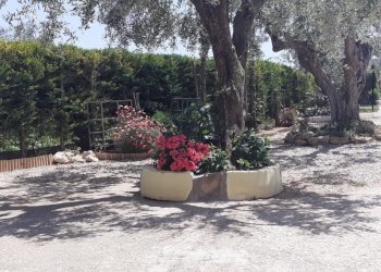 20220521_115802.jpg - Villa VIALE MAIELLA, Chieti - foto 1