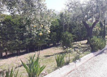 20220521_111002.jpg - Villa VIALE MAIELLA, Chieti - foto 3