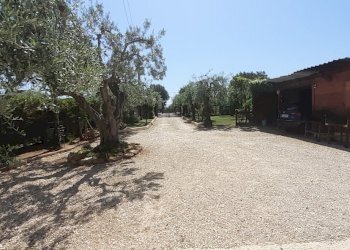 20220521_111333.jpg - Villa VIALE MAIELLA, Chieti - foto 4