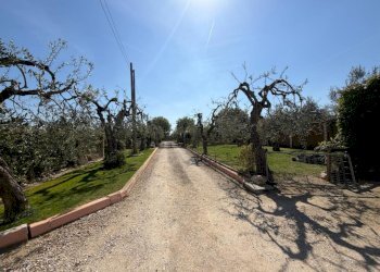 WhatsApp Image 2026-04-11 at 12.12.24.jpeg - Villa VIALE MAIELLA, Chieti - foto 1