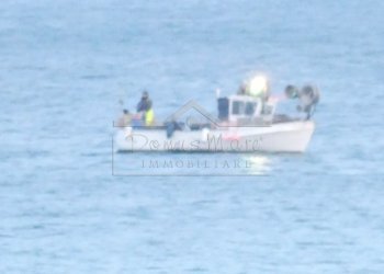 P1020247.JPG - Appartamento Albisola Superiore - foto 3