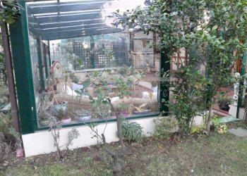 P1000389.JPG - Appartamento Albisola Superiore - foto 27