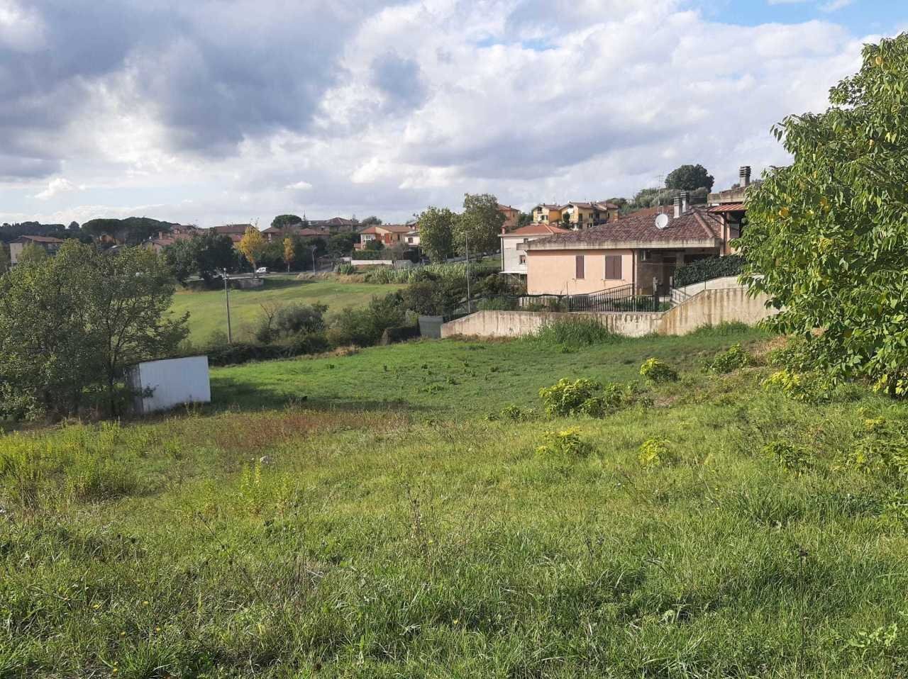 IMG-20221018-WA0105.jpg - Terreno edificabile Vocabolo San Vittore, Montecastrilli - foto 3