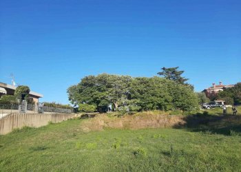 IMG-20221018-WA0109.jpg - Terreno edificabile Vocabolo San Vittore, Montecastrilli - foto 8