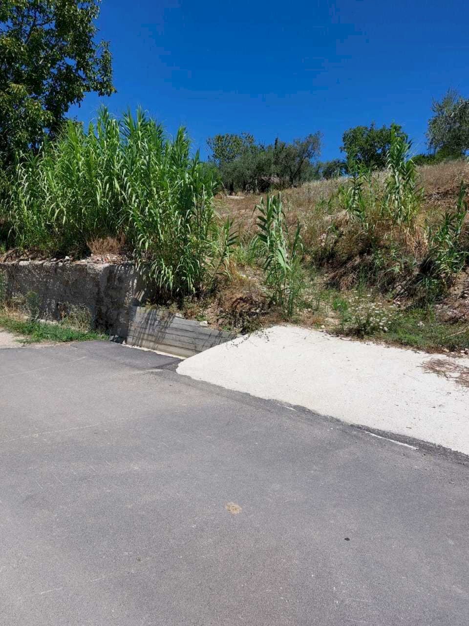 IMG-20221104-WA0022.jpg - Terreno agricolo Via S. Giusta, Lanciano - foto 2