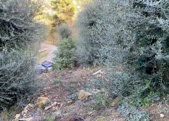 ulivi - Independent house Via Umberto Lorenzi, Ventimiglia - photo 5