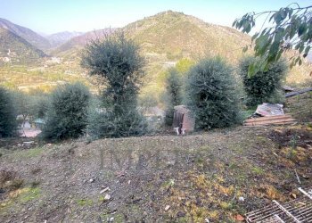 terreno - Independent house Via Umberto Lorenzi, Ventimiglia - photo 26