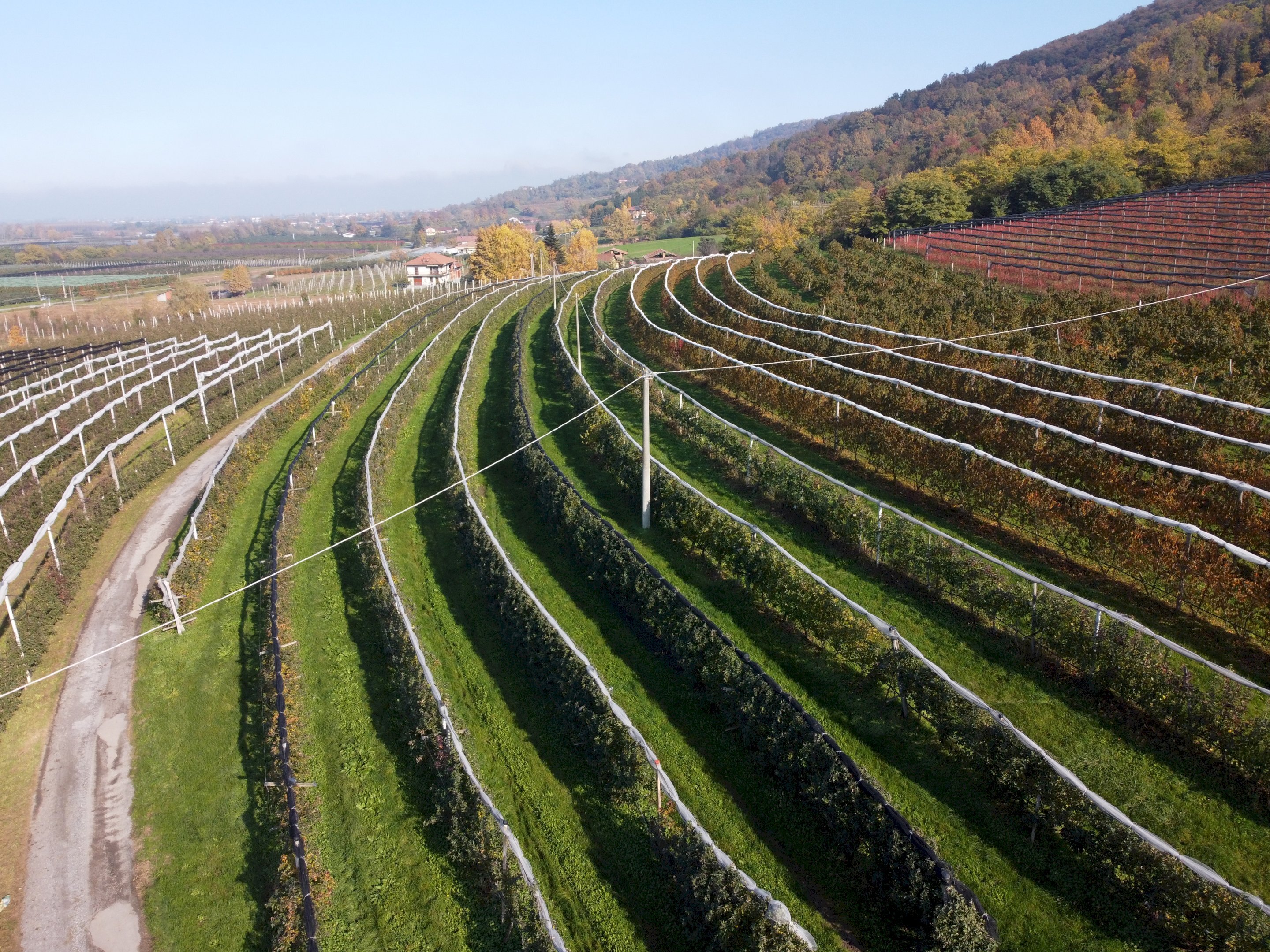 Terreno agricolo Via Pagno, 153, Saluzzo - foto 1
