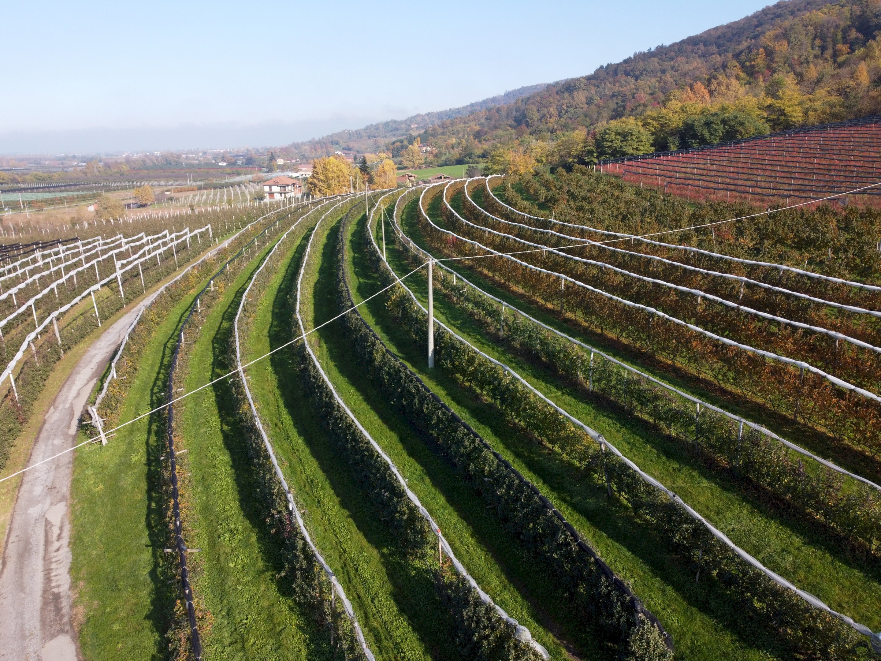 Terreno agricolo Via Pagno, 153, Saluzzo - foto 2